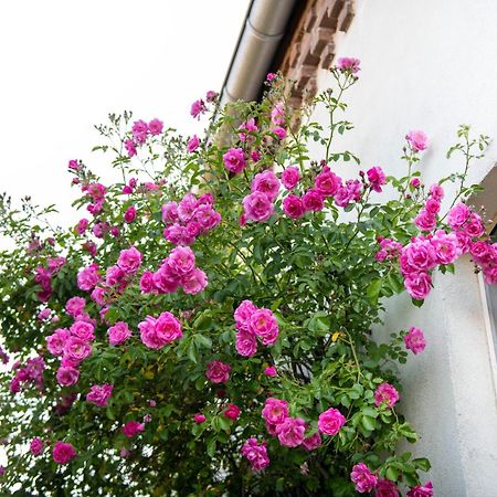 B&B Reveille Kleve  Exterior foto
